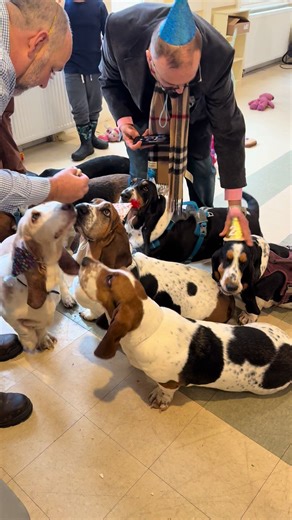 Brant the Basset hound (@brantthebasset23)’s videos with you better not mess with my gang... catdookiedoo - catdookiedoo
