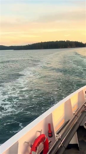 The journey to Salt Spring Island never gets old 🩵 #saltspringisland #travel #coastalretreat