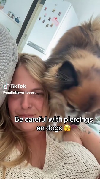 Precautions for Dog Piercings: What You Need to Know