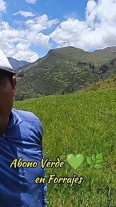 11K views · 122 reactions | Siembra de Avena con Vicia Sativa | El Ganadero | Facebook