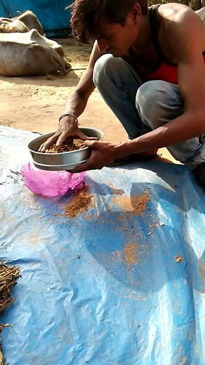 user9776337338793 (@dharmesh889)’s videos with original sound - PrakashThakor927 - Prakash Thakor 555