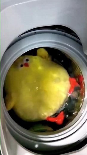Trending Dun Dun Chicken from Miniso goes for a swim in the washing machine! Or is it waltz-ing? Get your Dun Dun Chicken plushie via the link below to relieve your stress! #cute #Miniso #plushiesoftiktok #dundunchicken #washingmachine #bluedanubewaltz