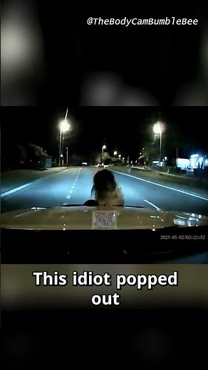 Insurance fraud scheme backfires #dashcam #scam #justice