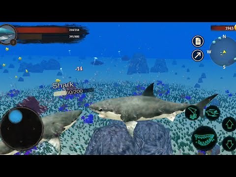 Best Animal Games - The Shark Simulator - Android Gameplay