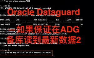 Oracle Dataguard - STANDBY_MAX_DATA_DELAY应用延时