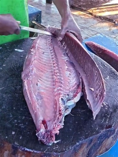 tuna Cutting Skill #tuna #cuttingtuna #reels