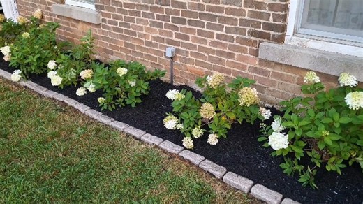 Watch Sandstone Landscape Edging on Amazon Live