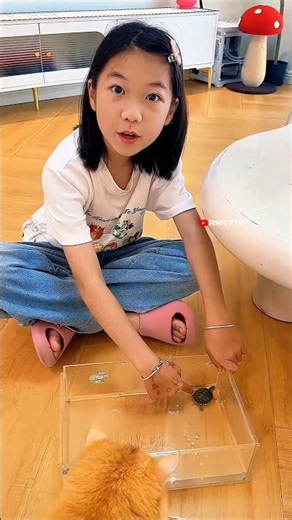 turtle egg viral video 🤣 #funny #funnyvideo