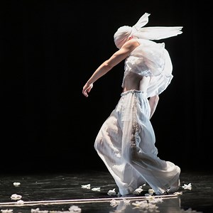 33 reactions | Congratulations to our postgraduate company VERVE on a...