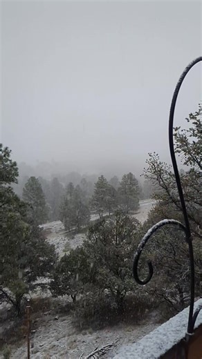 1.1K views · 63 reactions | It is finally snowing! It rained most of the night and now it has finally turned to snow. I'm guessing sunrise got a pretty good dump of wet, wet snow! | Fly Fish Arizona and Beyond | Facebook