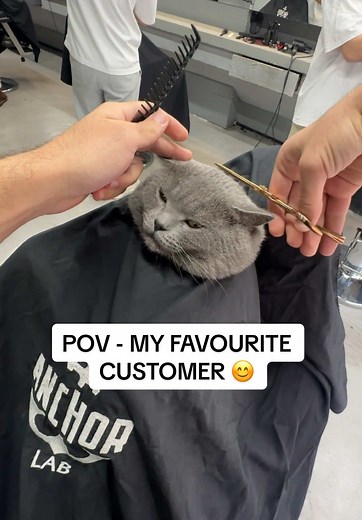 POV: My Favourite Customer Haircut Experience