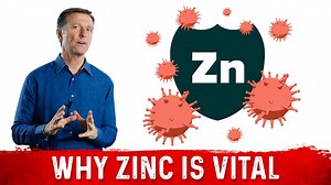 How Does Zinc Help the Immune System | Dr. Berg