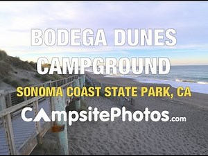 Bodega Dunes Campground - Sonoma Coast State Park, CA