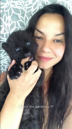 Panther Become Friend with Dog😍