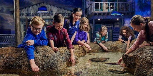 Unifying ticketing, retail and data: Gateway’s role in modern attractions