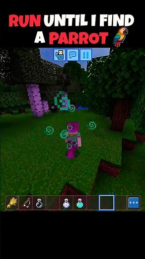 “😳 I Ran Until I Found the Rarest Parrot in Minecraft!”