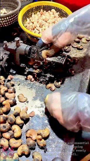High-efficiency cashew nut shelling machine