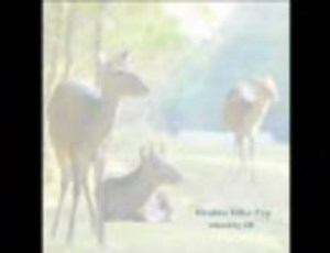 【クラブミュージック】 Japanese House Dj Mix 【作業用BGM】