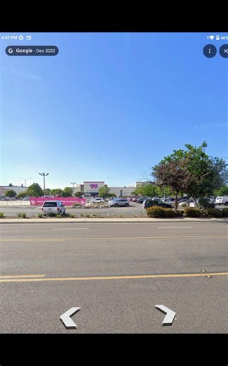 zellers and 99 cent only stores