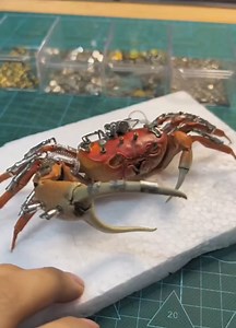 Transforming Big Crab , Steampunk , Crab | Obfsduo