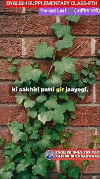 The Last Leaf Class 9 Chapter 7 Full Chapter In One Shot I Moments Class 9 Chapter 7 (HINDI)