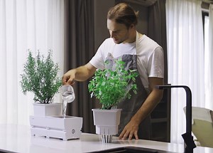 LetPot smart app controlled indoor garden for greens and herbs