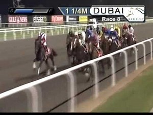 2011 Dubai World Cup