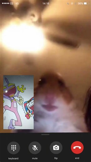 the hamster watching digital circus