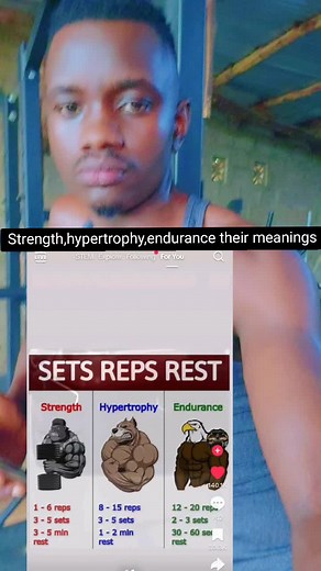 Understanding Strength, Hypertrophy, and Endurance Training