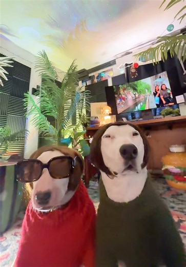 Meet Suzan & Karen: My Awesome Aunties!