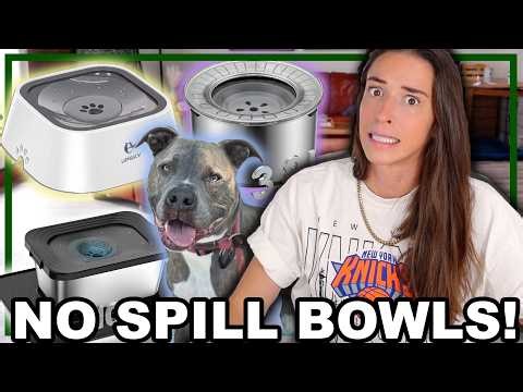 Testing No Spill Dog Water Bowls!