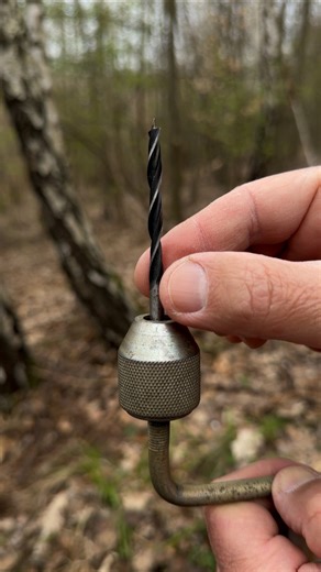Birch Sap: The First Natural Drink of Spring. #survival #skills #camping