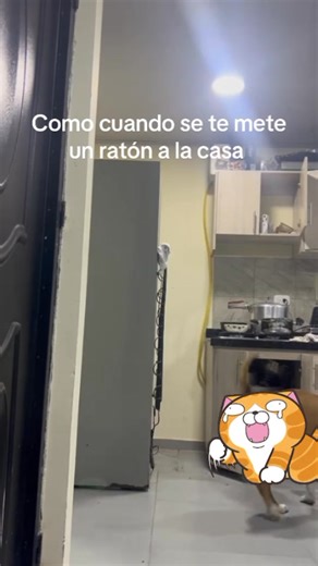 9.8M views · 159K reactions | SIEMPRE LOS RATONES ENTRAN EN UN HOGAR,...