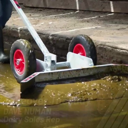 Takeover Tuesday with Dave If you’ve got those tight spots in the barn that always seem to need a quick shovel, you know how fast the 💩 work adds up, and how your back reminds you later. We brought in a new product line to help with exactly that: a 5' wide wheelie-style scraper that makes those areas easier to clean with fewer passes and way less strain. If you want to check it out, just give me a shout. – Dave #DairyBarns #PennerFarmServices #WeBuildFarms | Penner Farm Services Alberta