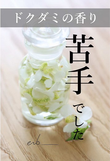 ドクダミ花化粧水作り方：香りを和らげる手作り化粧水