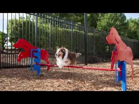 Dog Park Agility Courses