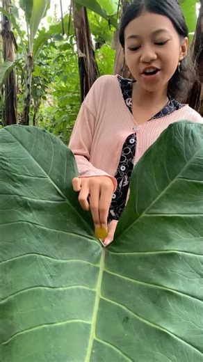 Gold coin slide #diy #creative #viral #art #craft