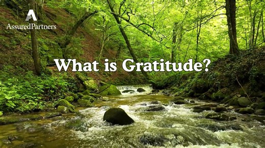 What is Gratitude?