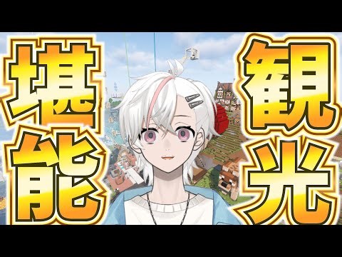 【#Minecraft/#配信者サーバー】久々のマイクラサーバーを堪能するV【MinecLIVE #新人vtuber /#avvy 】