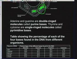 42 reactions | Grade 12 Life Sciences: DNA,RNA & Meosis Credit: Mindset | Lwazi institute of learning | Facebook