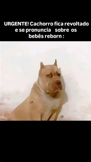 𝗙𝗱𝗽𝘁 memes on Instagram: "#memes #fyyyyyyyyyyyyyyyyyyyyyyyyyyyyyyyyyyyyyyyyyyyyyyyyyyyyyyyyyyyyyyyyyyyyyyyyyyyyyyyyyyyyyyyyyyyyyyyyy #explorar #memesbrasil #memesdaily"