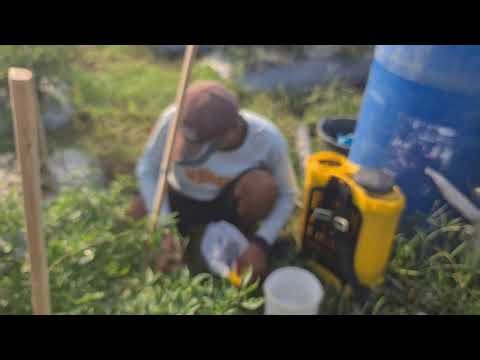 Techniques for Mixing Agricultural Chemicals — Agriculture Farming