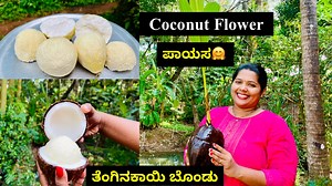 117K views · 2.5K reactions | ತೆಂಗಿನಕಾಯಿ ಬೊಂಡು ಪಾಯಸ| Sprouted Coconut Kheer(Coconut Flower/Pearl) | Mangalore-recipes | Facebook