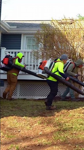 Scenic Landscaping - Yard Clean up
