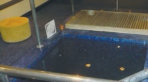 Court: Explain why single women barred from mikvaot | The Jerusalem Post