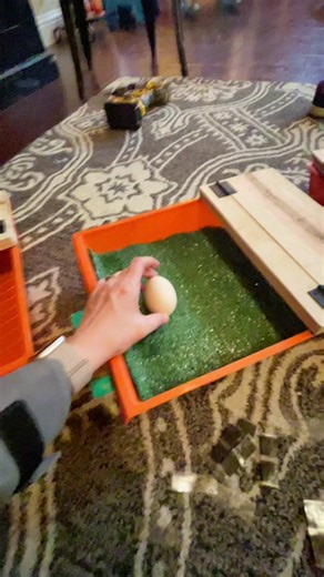 DIY Rolling Nesting Box for Clean and Beautiful Eggs