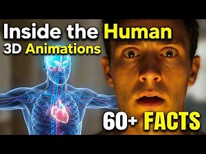 Inside the Human Body (3D Animations) | 60+ Facts You Never Knew