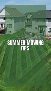 4K views · 32 reactions | Your lawn  is stressed right now 掠 | Stay...