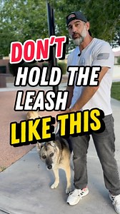 926K views · 10K reactions | Relax! It’s not a fight. #dogtrainingtips | Leader Of The Pack K9 Training | Facebook