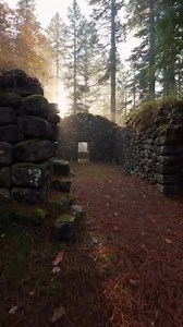 Walking through history at the ruins near Plymouth, California. 🌲 A place that once thrived, now whispering stories of the past. Nature has a beautiful way of reclaiming what was once built. ✨"#HistoryHunter #NaturePhotography #CaliforniaExploration #GermanLanguage #LearnEnglish #TravelDiaries #Ruins | Historic USA